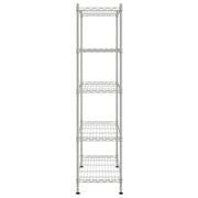 Opbergrek 5-laags 250 kg 90x35x180 cm chroomkleurig