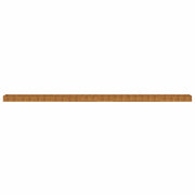 Plantenbak verhoogd 1152x50x36 cm cortenstaal