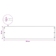 Gazonrand 20 st 25 x 103 cm Roestvrij staal zilver