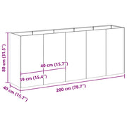 Plantenbak 200x40x80 cm roestvrij staal