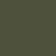 Tuinrand 30 st 100 x 0.05 x 20 cm Koudgewalst staal Olijf Groen