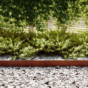 Tuinrand 20 st 100 x 0,05 x 30 cm Roestig