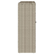 Opbergkast met plank Lichtgrijs 100 x 36 x 102 cm Rattan